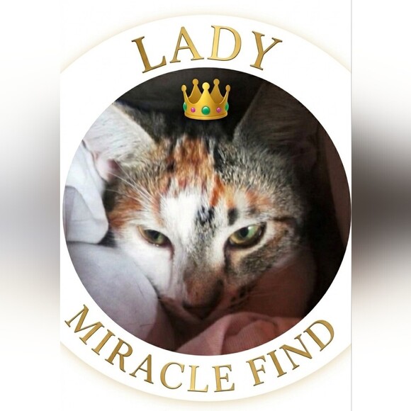 ladymiraclefind